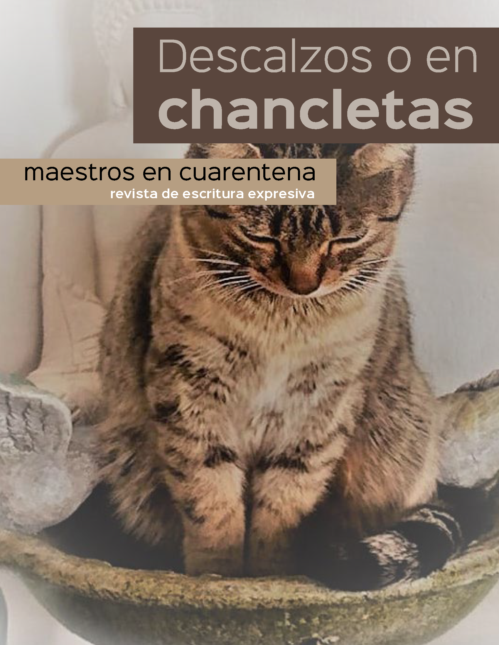 Cover of Descalzos o en chancletas